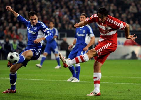 球迷们总是 球迷们总是